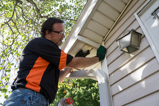 Best Same-Day Junk Removal Services  in Mount Vernon, AL